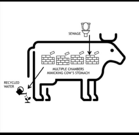 cow stomach model sewage treatment